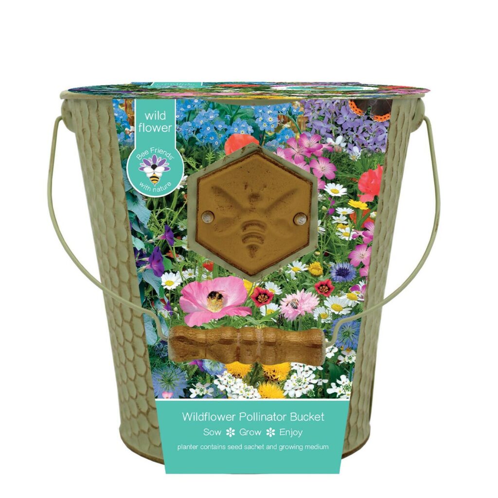 Bee Friends Honeycomb Bucket Wildflower Seed Grow Kit 5055128622837 2
